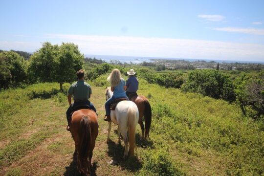 1 Hour Scenic Horseback Ride