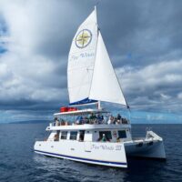 Glass Bottom Boat Tours