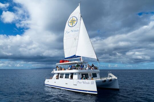 Four Winds II Molokini Snorkeling Tour from Maalaea Harbor