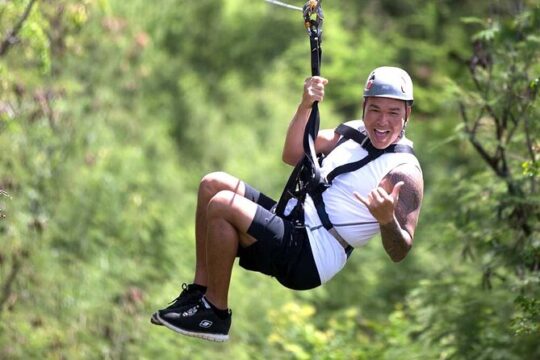 3 Zipline Tour Oahu (1 hour)