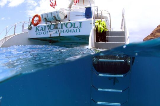 Oahu Catamaran Cruise: Wildlife, Snorkeling and a Hawaiian Meal