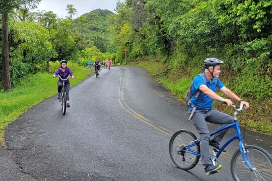 Honolulu Downhill Bike and Waterfall Hike Tour