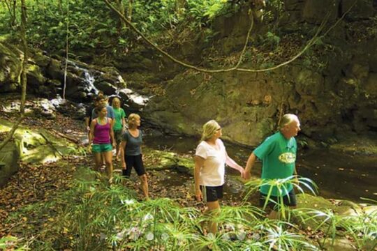 Hidden Valley Falls Kayak and Kauai Hike Adventure