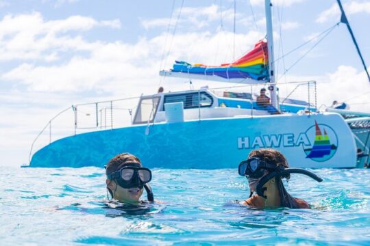 Waikiki Turtle Snorkel Adventure with Manakai Catamaran