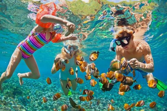 Oahu Circle Island - North Shore Snorkeling Tour (Dole & Temple)