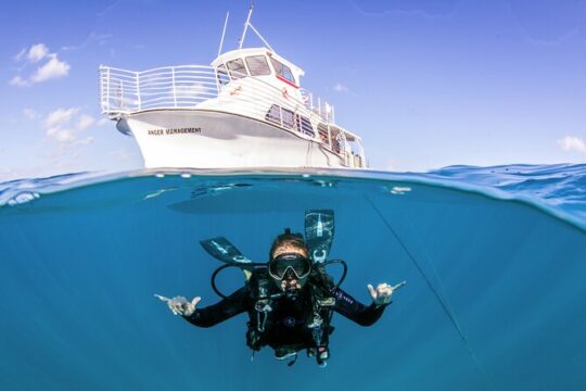 DISCOVER Scuba Diving Experience in Honolulu