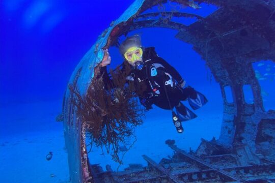 Certified Diver: 2-Tank Deep Wreck and Shallow Reef Dives off Oahu