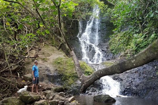 Ko'olau Waterfall Hike