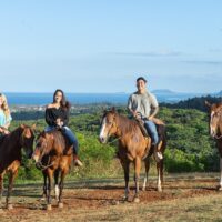 Horseback Riding