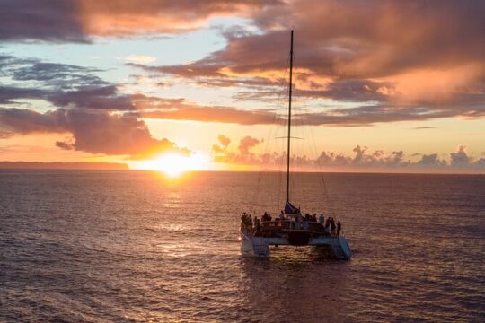 Valentine's Day in Kauai