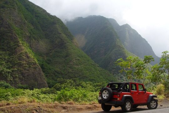 Road To Hana: Maui Waterfall Hiking Tour in Private Jeep