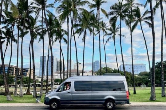 Shared Round-Trip Transfer: Honolulu Airport to Hotel or Cruise Terminal