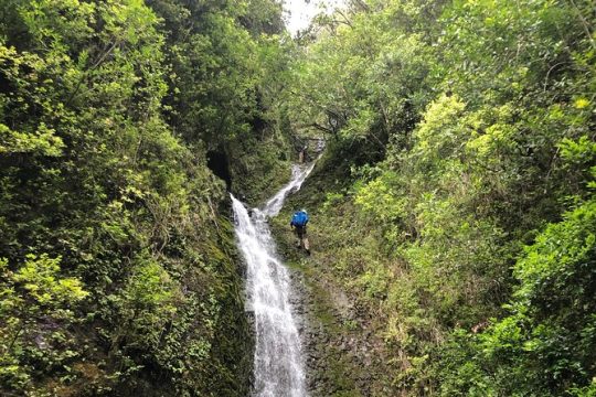 Waterfall Hike , Sightseeing & East Side Beach Day