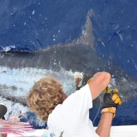 Fishing Charters & Tours