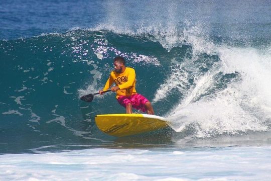 Stand Up Paddleboarding - Semi-Private Lessons with Pro Coach - Waikiki, Oahu