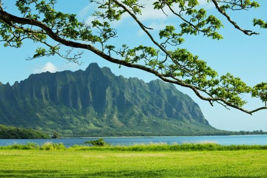 Green and Blue Circle Island Oahu Private Tour