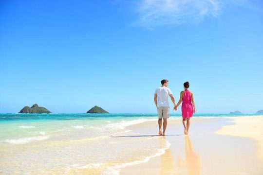 South East and Windward Oahu Private Tour