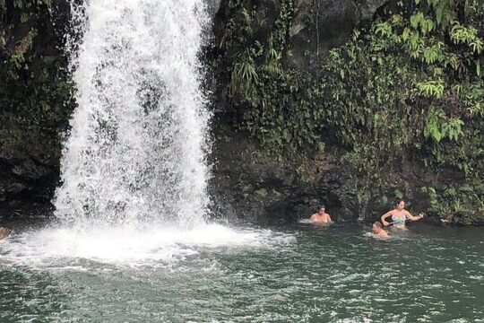 Road to Hana Adventure - Private - Just for Your Family or Group