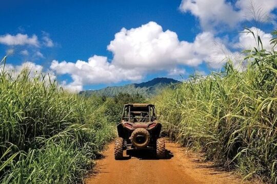 Kauai ATV Backroads Adventure Tour