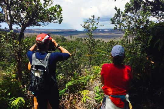 Private Tour: Hawaii Volcanoes National Park Eco Tour