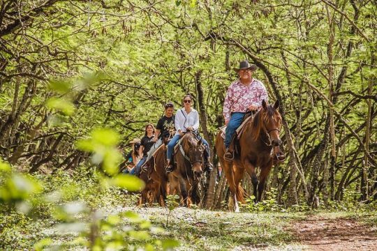 1 Hour Scenic Horseback Ride