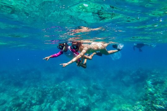 Big Island Snorkel Cruise From Anaeho'omalu Bay (Kohala)