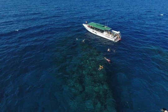 Half Day Snorkel in Lanai Island and Spinner Dolphin Search