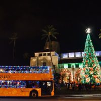 Holiday & Seasonal Tours