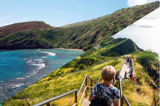 Oahu's Half-Day Tour Package