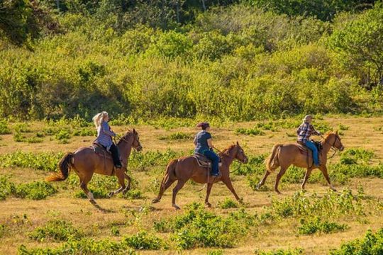 Private Advanced Trail Ride