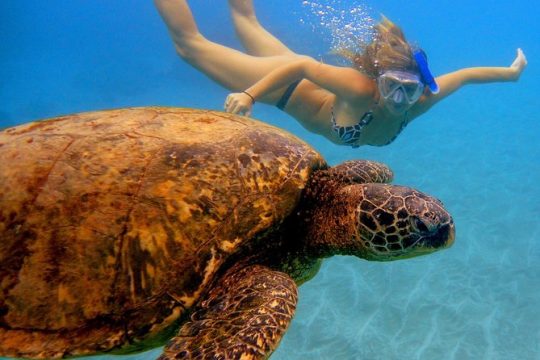 Afternoon Adventure Snorkel from Ka'anapali