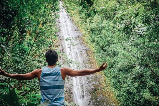 Manoa Waterfall Hike with Healthy Lunch Included From Waikiki