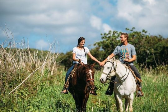 Private Sweetheart Horseback Ride