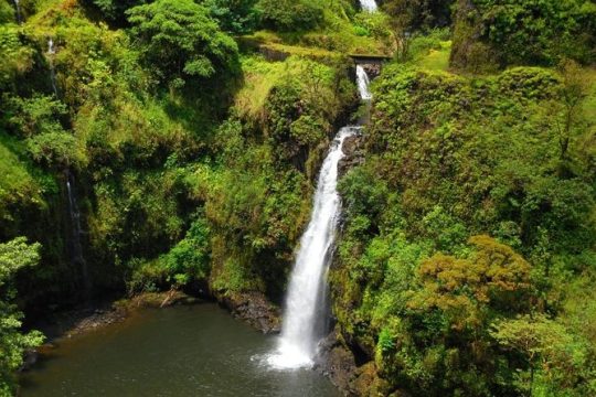 Road to Hana, Black Sand Beach, Waterfalls & Turtles Tour