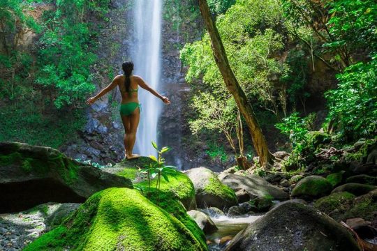 Wailua River Kayak and Sacred Fall Hike (Includes lunch)