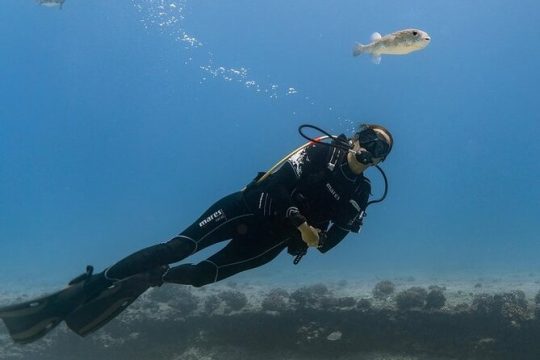 Incredibly Fun 2-Tank Boat Dive from Waikiki -Beginners Welcome