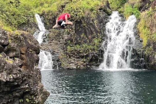 HEAVENLY HANA TOUR (private)