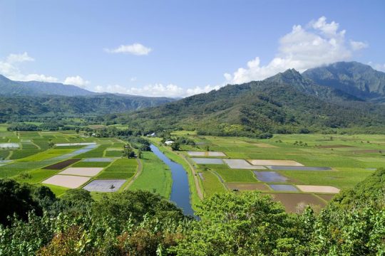 Cruise Ship Shore Excursion: Kauai Movie Sites Tour