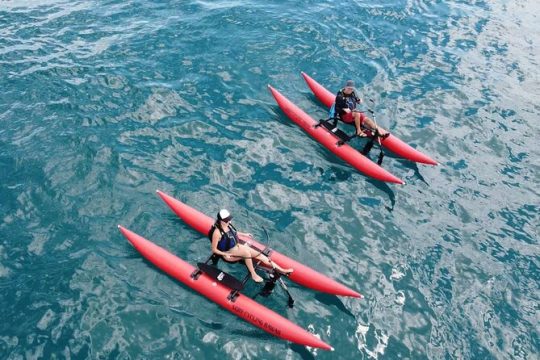 Lahaina, Maui Water Bike Tour