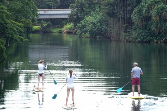 Historic Haleiwa Rainbow Bridge Stand Up Paddle (Anahulu River)