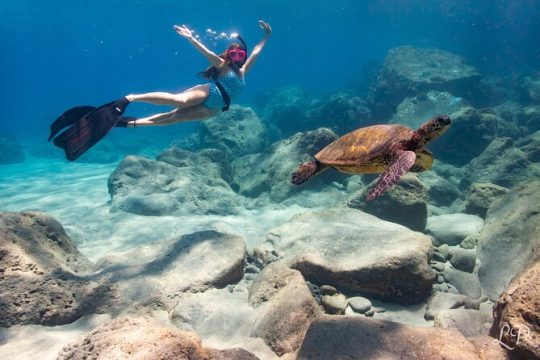 Turtle Gardens West Maui Snorkel Tour