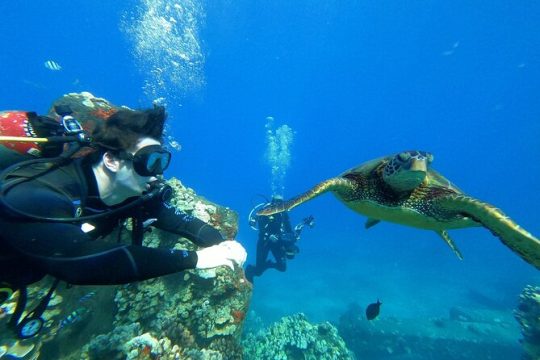 Private Intro SCUBA Adventure