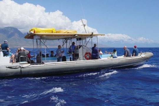 Maui's Best Coral Gardens Snorkel and Raft Adventure