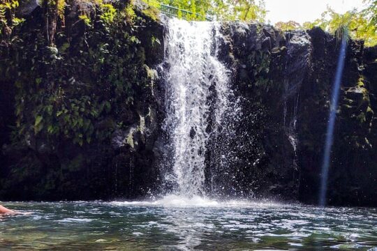 Guided "Halfway to Hana" Tour of Maui black Sand Beach,Waterfalls & Turtles!