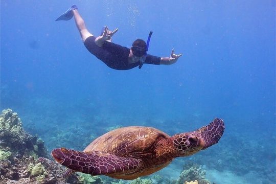 From Ma'alaea Harbor: Afternoon Molokini or Coral Gardens Snorkel Aboard Malolo