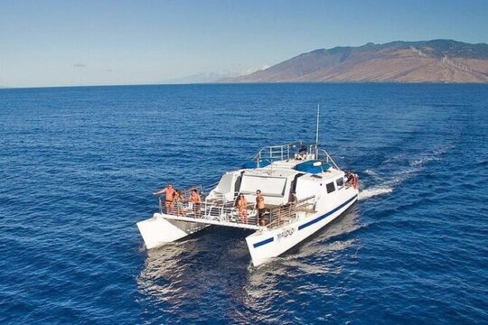 From Ma'alaea Harbor: Afternoon Molokini or Coral Gardens Snorkel Aboard Malolo