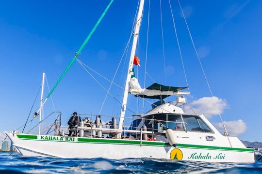 Turtle Snorkeling Catamaran Tour In Waikiki