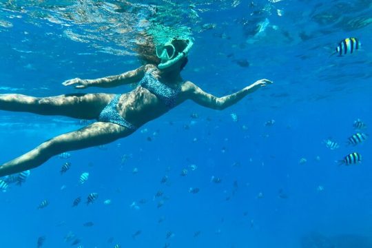 Hawaiian Culture & Snorkel Adventure with Photo/Videos