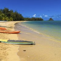 Stand Up Paddleboarding