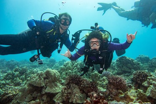 Small Group Shallow Reef Dive in Oahu